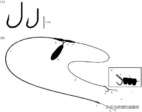 伽玛鲤鱼竿价格（话说欧鲤钓）