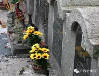 公墓价格（广西各地墓地价格是多少）