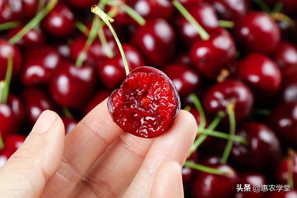 樱桃价格（车厘子节后价格腰斩）