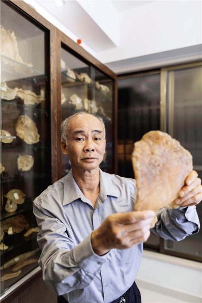鱼胶价格（房价下跌不少）