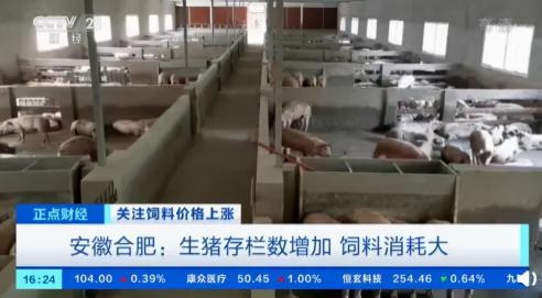 豬飼料價格（飼料漲價100元）