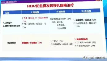 吡咯替尼價格（兼顧療效和價格）