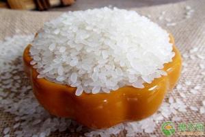 蟹田大米价格（现在大米批发价格多少钱一斤）