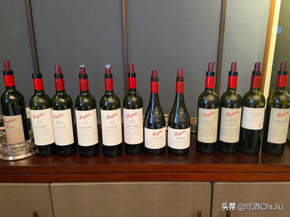奔富389价格（奔富红酒）