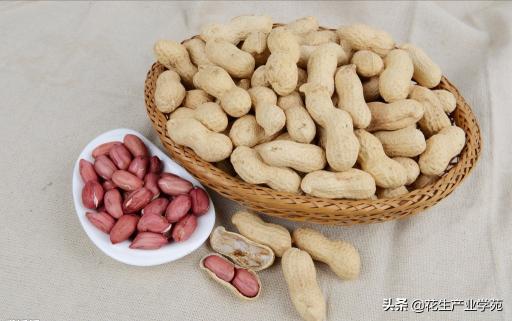 河南南阳花生价格走势（2月23日南阳南召）