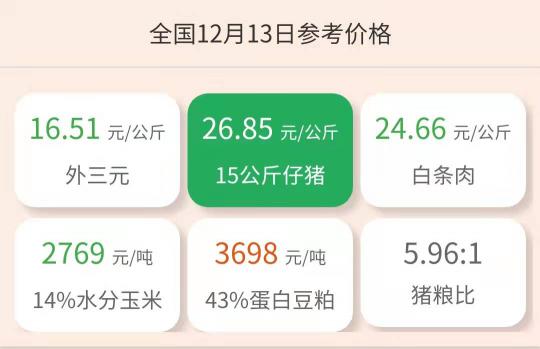今日仔猪价格（今日仔猪价格）