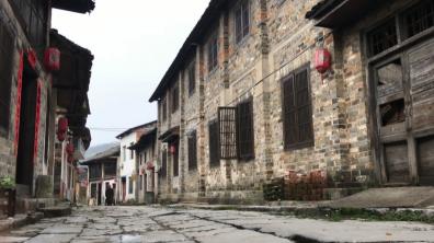 赵李桥青砖茶价格（身边的非遗）