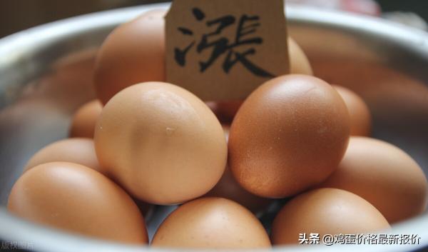 今日鸡蛋批发价格行情（鸡蛋价格行情）