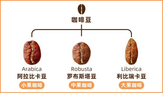 咖啡价格（咖啡价格不一）