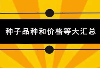 玉米种子大全价格表（收藏）
