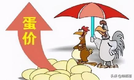 鸡蛋的价格（鸡蛋价格一路上涨）