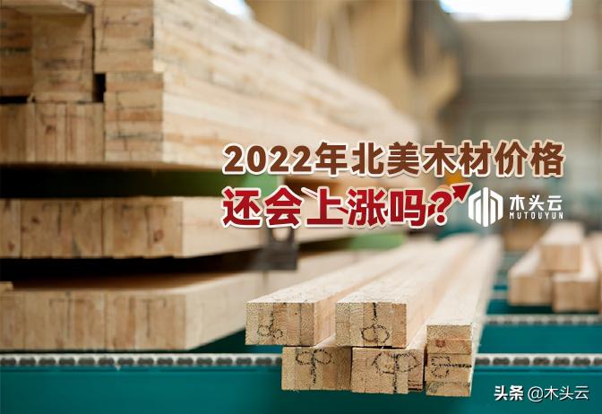 桉树价格（2022年）
