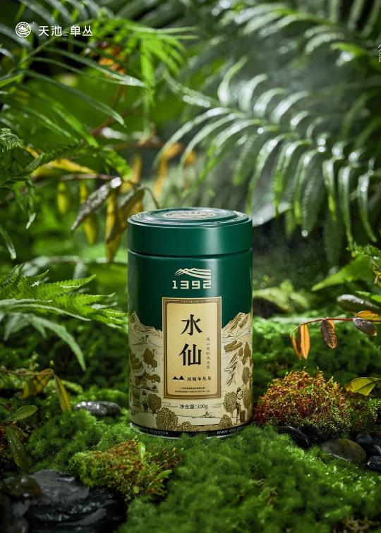 乌岽单丛茶铁盒装价格（凤凰单丛茶）