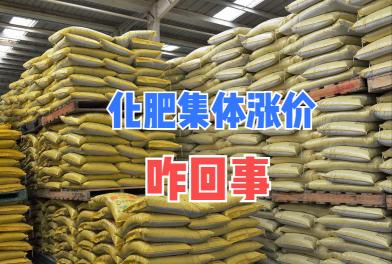 肥料价格（化肥集体涨价）