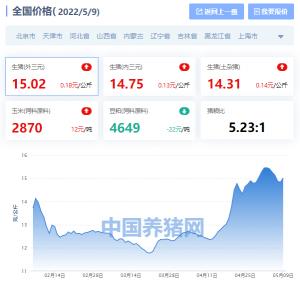 大豬今天什么價格(全國生豬價格漲跌表)