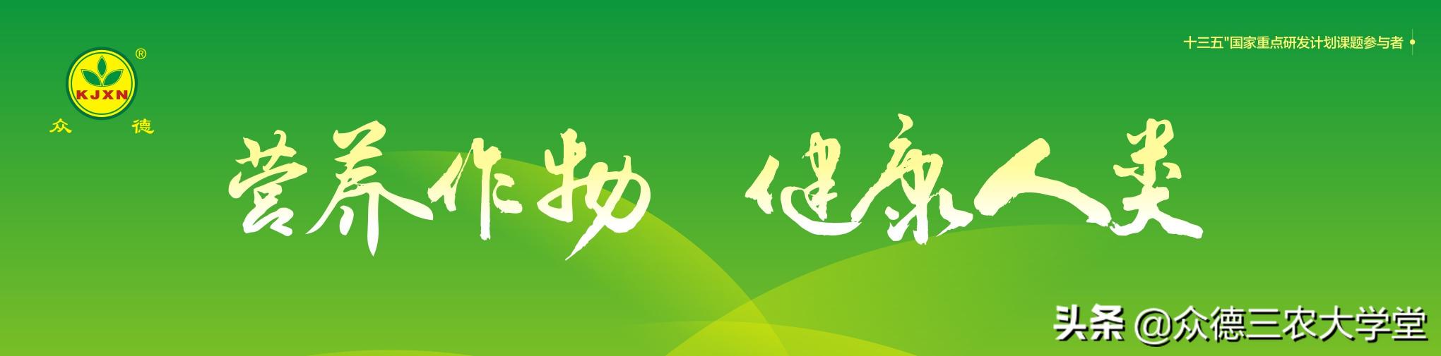 山东大姜价格最新行情（农产品行情早报）