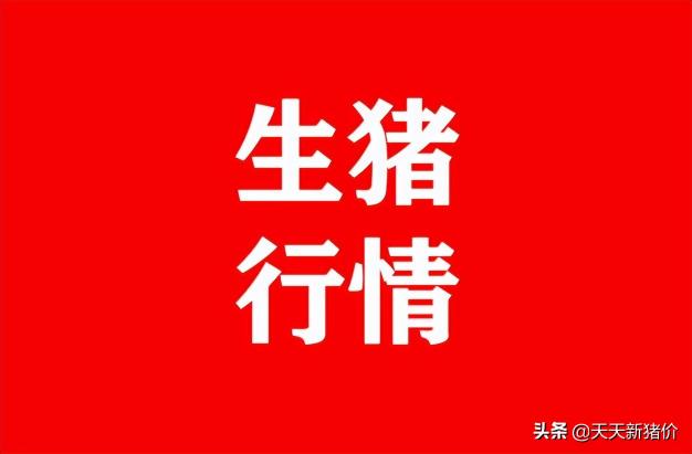 辽宁生猪价格（猪价有变）