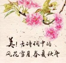 黄鹤楼春夏秋冬价格（诗词中的）
