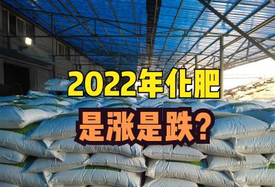 磷矿价格（尿素）