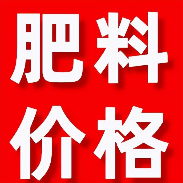 价格是多少（化肥价格又涨了）