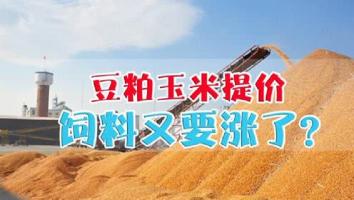 饲料价格（2月25日饲料行情）