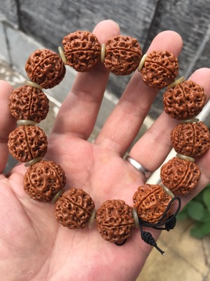 5瓣金剛手串價格（預算有限）