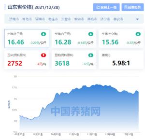 山东今日猪价生猪价格（2021年12月28日山东省猪价行情）