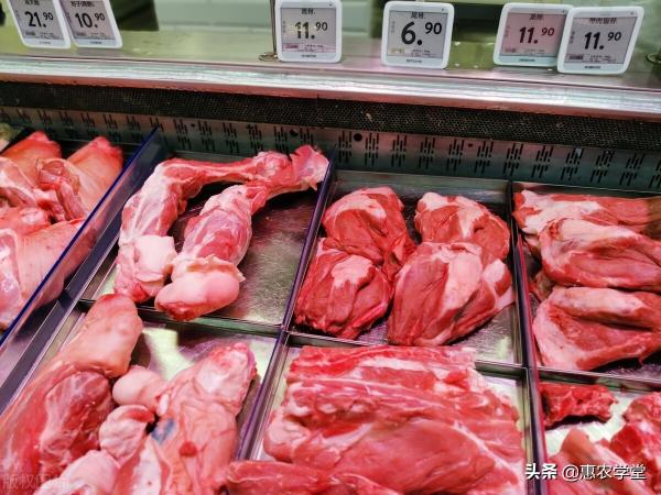猪肉价格走势图（现在猪肉多少钱一斤）