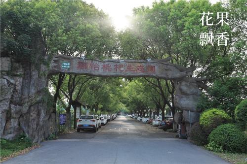 番荔枝批发价格（从年产值30万元做到6800万元）