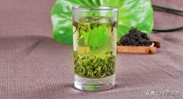 日照绿茶图片及价格（日照绿茶怎么样）