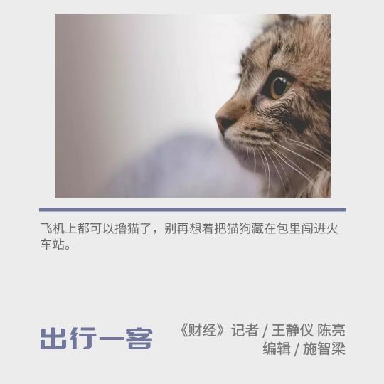 高铁宠物托运价格表（喵汪星人春运指南）