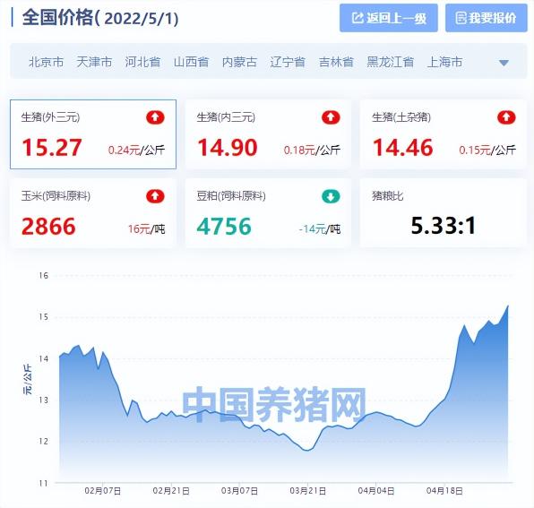 现在猪什么价格（全国生猪价格涨跌表）