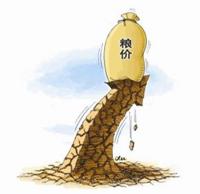 面粉50斤價格（玉米漲）