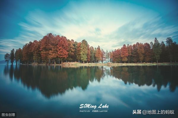 水杉价格（生活在邳州）