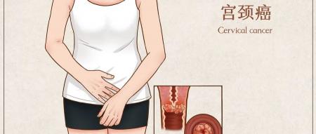 9价hpv价格（事关HPV疫苗）