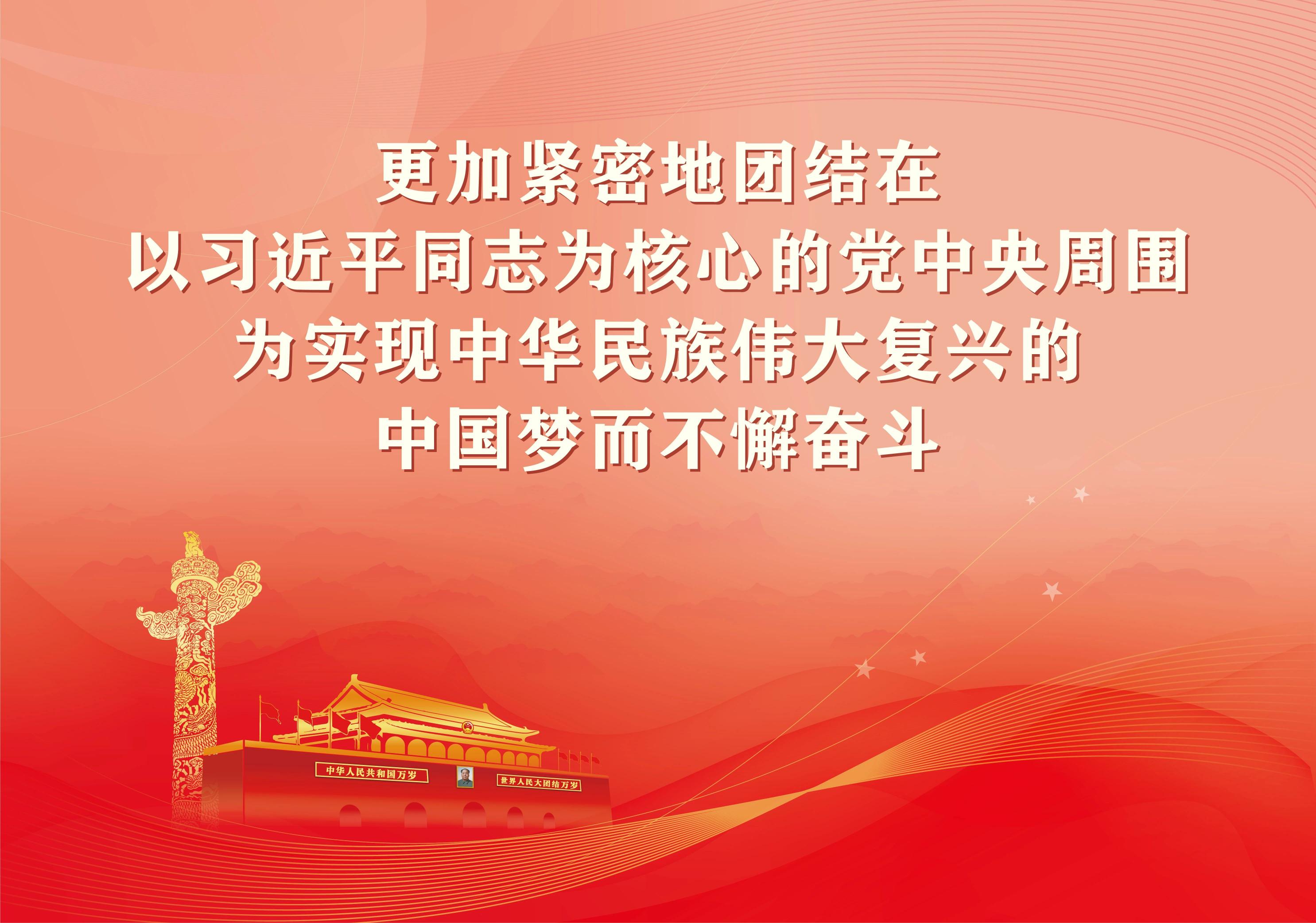观光车价格及图片（骨折）