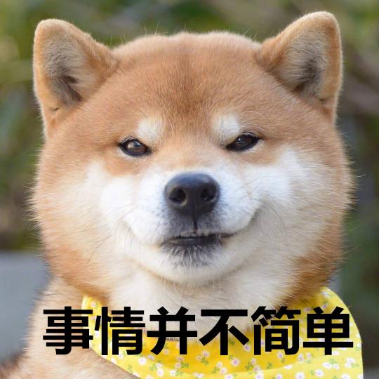金毛的价格（目前火爆的几种狗）