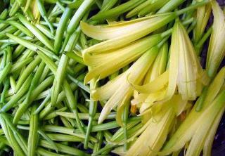 黄花菜的价格（席上珍品）