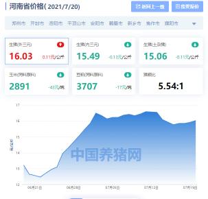 今日河南省生猪价格（河南省生猪价格涨跌表）
