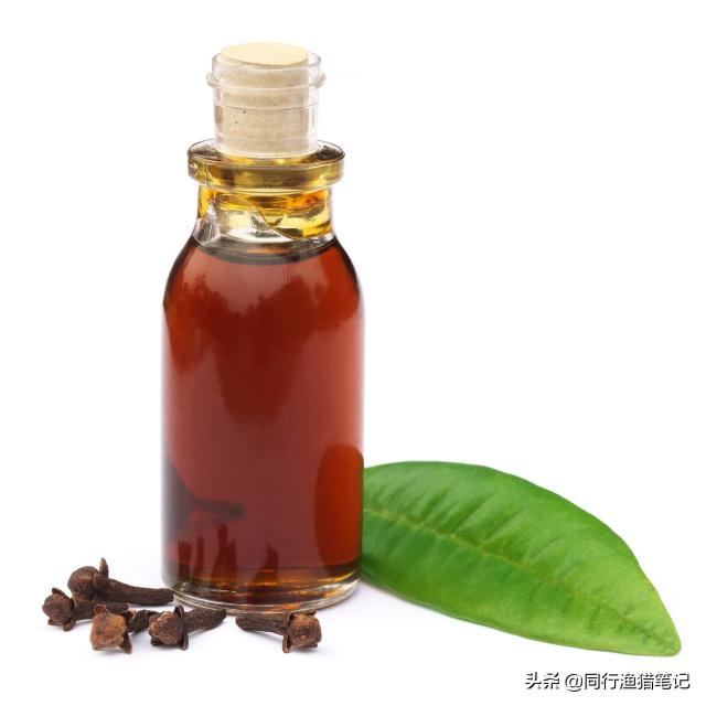 麝香酮价格（麝香钓鱼的使用方法）