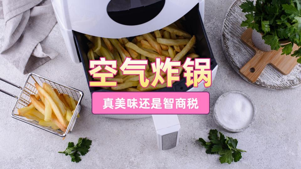 利仁空气炸锅价格（入手空气炸锅前）