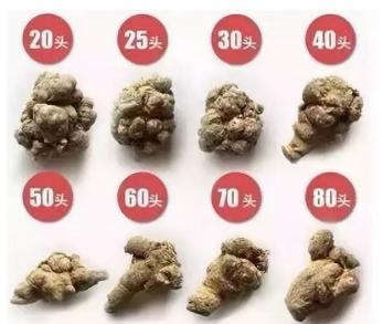 三七粉的价格是多少（请广而告之）