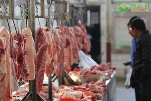 今年猪价格多少钱一斤（猪肉价格下降）