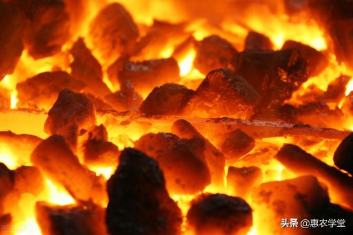 中国煤炭价格网（现在煤炭多少钱一吨）