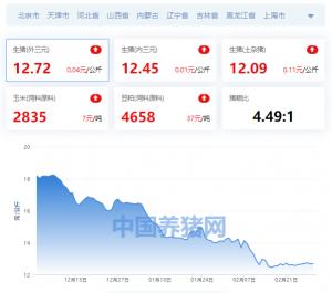 今日全國生豬價格表一(全國生豬價格漲跌表)