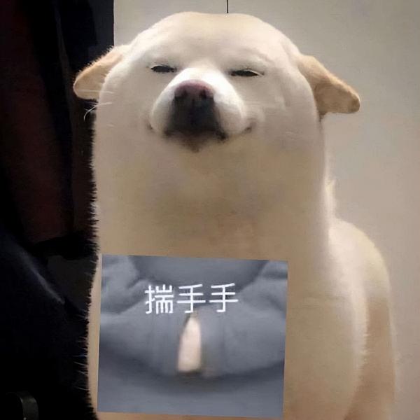 北京比熊价格（网评2种）