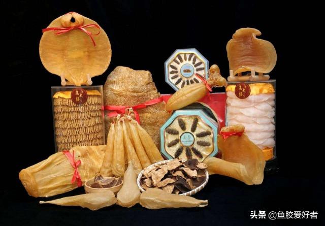 鱼胶价格（入门必备）