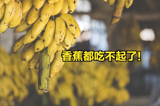 香蕉价格表今日价格（产地香蕉持续高价）