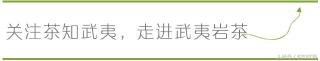 武夷岩茶大红袍价格（大红袍的价格为何差距这么大）