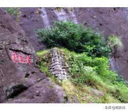 武夷岩茶大红袍价格（1040万元一斤天价）